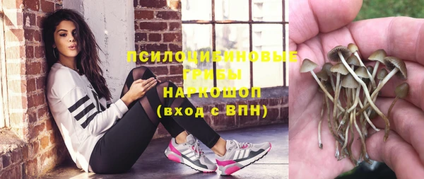 прущая мука Абаза